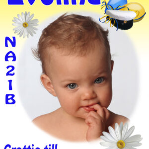 Studentskylt – Design 12